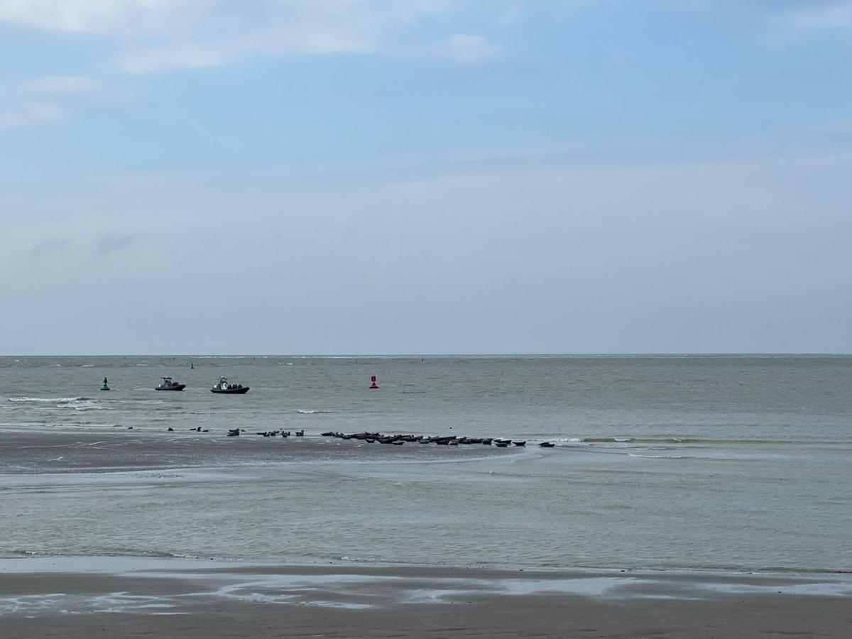 Plage A 50M Appartement Reves Tranquilles Villa Les Bains De Mers Bagian luar foto