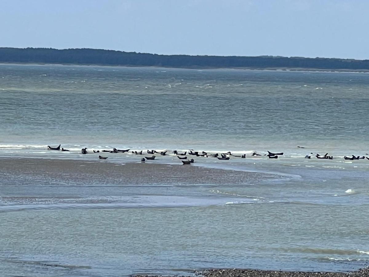 Plage A 50M Appartement Reves Tranquilles Villa Les Bains De Mers Bagian luar foto